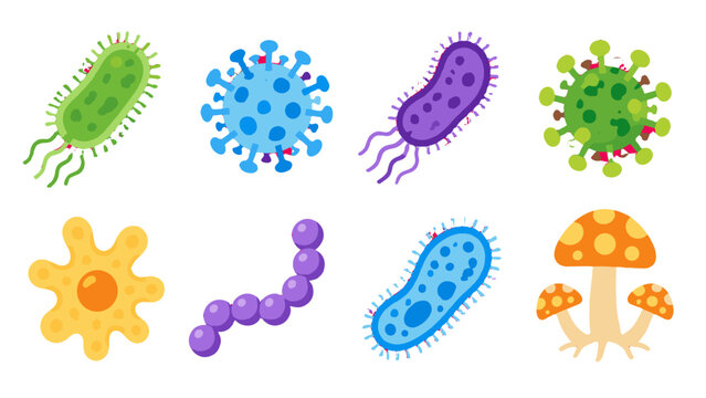 Cartoon microorganisms and mushroom vector set on white