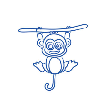 Picture of a monkey skeleton
