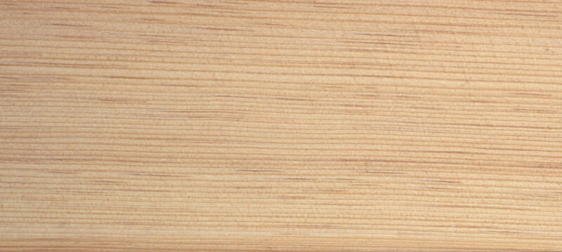Linear wood grain texture with fine horizontal lines and uniform light beige tone creates clean minimalist timber background for contemporary interior design and scandinavian furniture surfaces