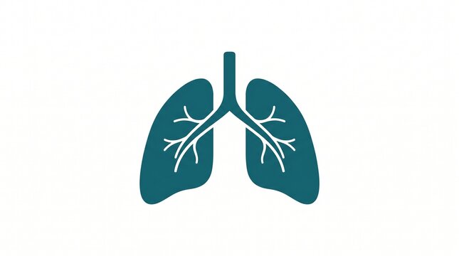Clean graphic representation of human lungs for essential health and breathing projects/369998232293, illustrating respiratory wellness and organ function