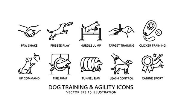 Canine agility and training outline icon collection black vector