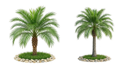 Obraz premium Two small palm trees in grass and stone decorative planters as PNG cutout isolated on transparent background