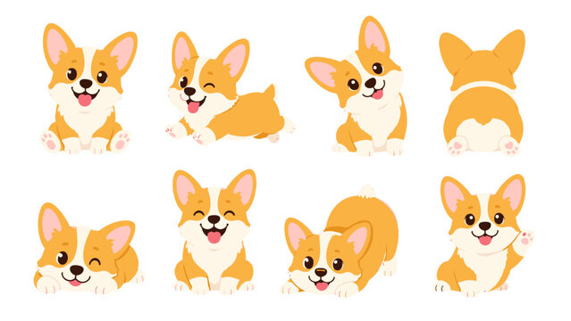 Cute corgi dog cartoon character set in different poses