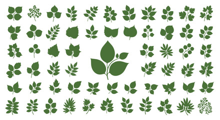 Fototapeta premium Extensive collection of various green leaf silhouettes representing different tree and plant species for botanical design.