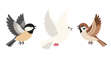 Three flying birds in flat vector style on white background © Alan