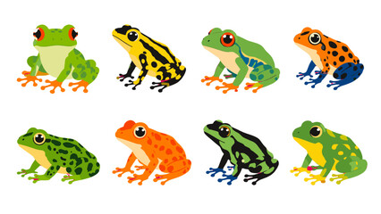 Obraz premium Set of colorful tropical frog illustrations on white background