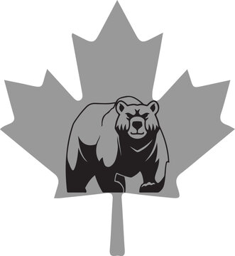 Canadian Bear Maple Leaf Logo Wild Grizzly and Canada Wildlife Vector Design