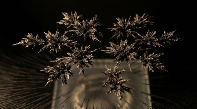 Cluster of dark metallic bismuth crystal structures with intricate branching patterns on black background