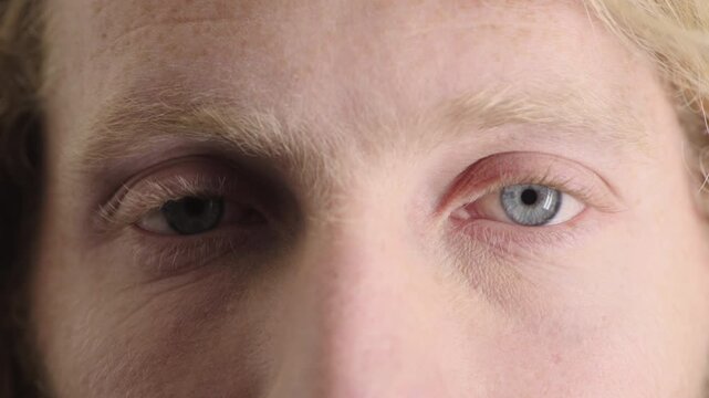 Face, eyes and man with eyesight for optometry, perception and awareness of eyecare. Portrait, male person or closeup with peripheral vision, iris examination and optical perspective of visual health