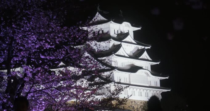 Silhouettes of people walking past majestic, ancient Japanese castle with nearby cherry blossom tree at night
