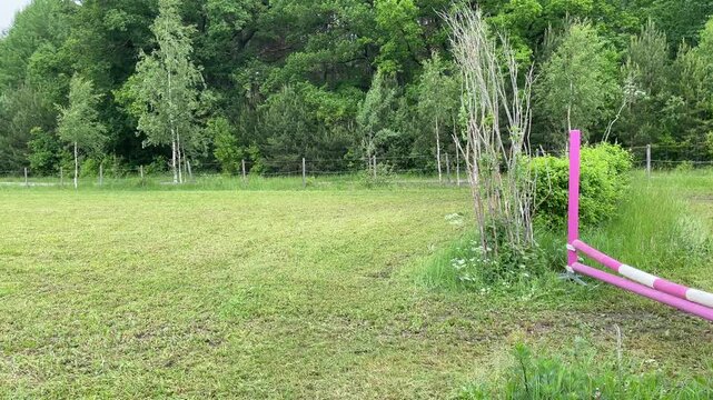 Pink horse obstacle at riding school. Ready to jump and practice. Summer day in June.