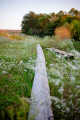 Obraz premium Rustic landscape with wooden path