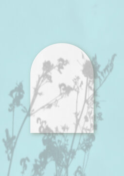 Natural light casts shadows from wildflowers on an arched sheet of white paper lying on a vertical blue background. Mockup
