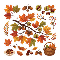 Autumn Leaves and Acorns Collection. © Makdum