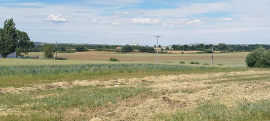 Campo de cultivo con vegetación y cielo despejado © Gabrieuskal
