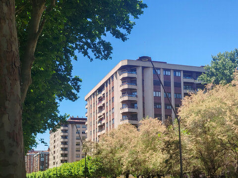 Edificios residenciales junto a arbolado urbano bajo cielo azul