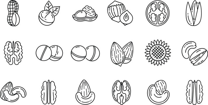 Nuts and seeds illustrations with peanut walnut almond pistachio and cashew designs, decorative artwork vector element for food, healthy, and nutrition design