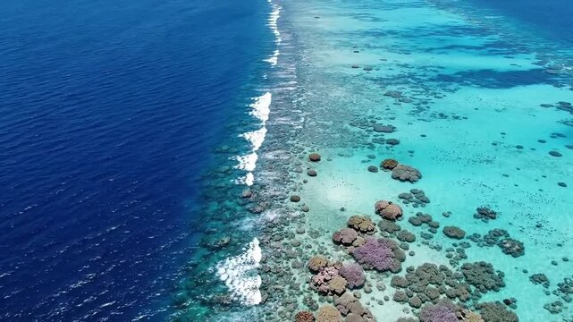 Vibrant coral reef ecosystem teeming with life, bordered by deep blue ocean and shallow turquoise waters.