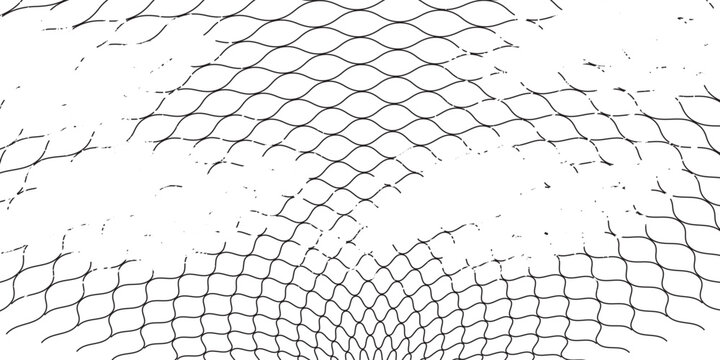 Black snake skin pattern isolated on white background eps 10