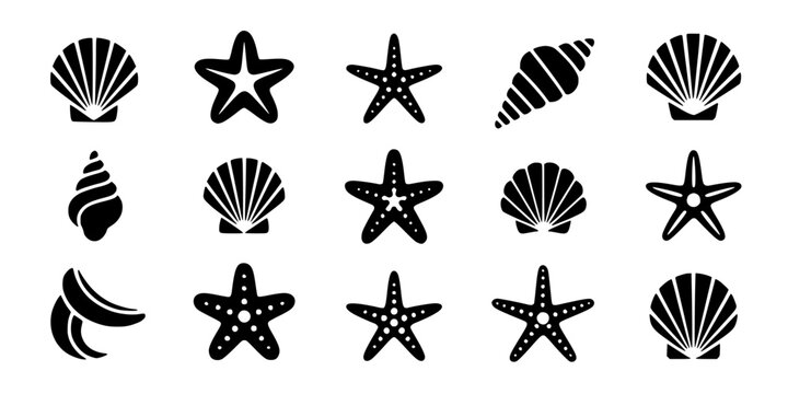 Shells and Stars in Black and White with Various Patterns and Designs Featuring Beach, Marine, Ocean with Nature and Icons Elements for Symbols