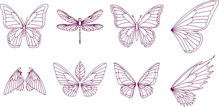 Butterfly dragonfly wing insect vector outline line art pattern nature beauty delicate flying graphic design element decoration.