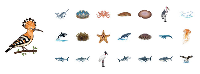 Marine Life and Birds Detailed Vector Illustration Icon Set © simbah