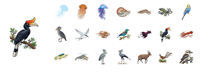Wild Animal and Bird Clipart Set © simbah