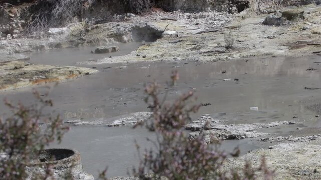 Caldeiras das Furnas Geothermal Fumaroles and Traditional Cozido Cooking, S&atilde;o Miguel Island, Azores Volcanic Landscape