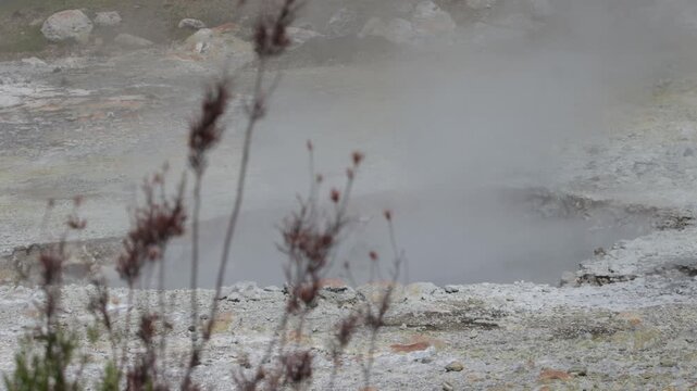 Caldeiras das Furnas Geothermal Fumaroles and Traditional Cozido Cooking, S&atilde;o Miguel Island, Azores Volcanic Landscape