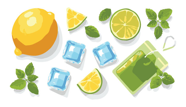 Fresh lemon mint and ice cubes ingredients for mojito or iced green tea, vector illustration.