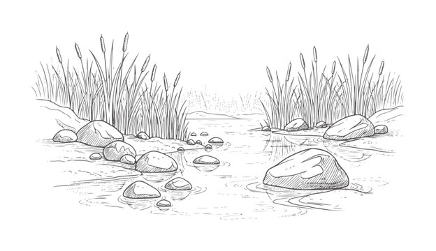 Of a calm river with cattails and smooth stones water rocks