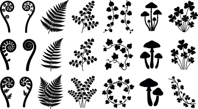Black botanical silhouettes vector collection featuring forest ferns, fiddleheads, wild mushrooms, creeping ivy vines, and clovers for rustic decorative designsBlack botanical silhouettes vector colle