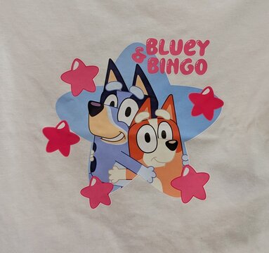 Vista de cerca del estampado de Bluey y Bingo abrazadas con fondo de estrellas, en una camiseta. Madrid, Espa&ntilde;a, 24 de abril de 2026