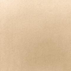 Fototapeta premium Plain textured brown background with copy space