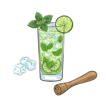 Hand drawn mojito cocktail vector set with fresh mint, lime slices, ice cubes and muddler