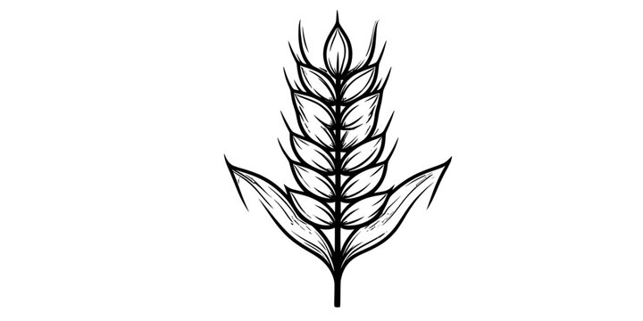 Ear of Wheat Grain Agriculture and Organic Food Icon Set
