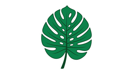 Green Monstera Leaf Icon, Tropical Plant, Isolated on White Background © nia