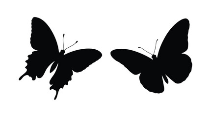 Two black butterfly silhouettes with outstretched wings against a white background silhouette © MD