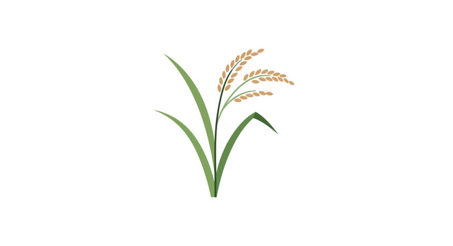 Minimalist Illustration of Rice Plant with Grains and Leaves on a Clean White Background