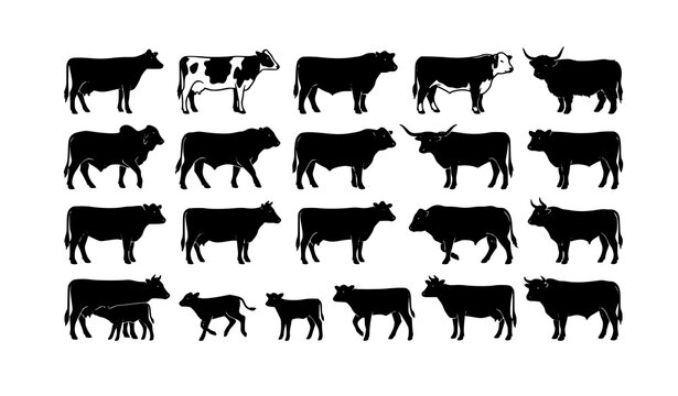 Cow breed silhouette collection black vector isolated on white