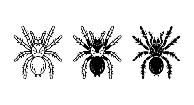 Tarantula Spider Vector Icons, Arachnid Illustrations, Black and White Insect Graphics, Halloween and Horror Elements
