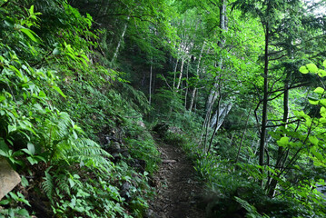 Obraz premium Climbing Mt. Yakedake, Nagano, Japan