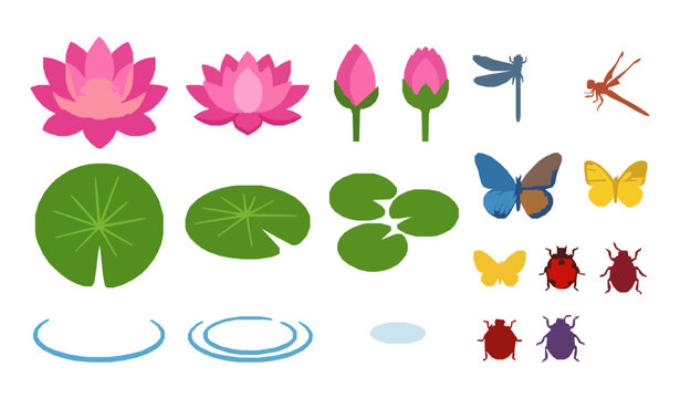 Cute vector elements set of water lilies dragonflies and pond bugs