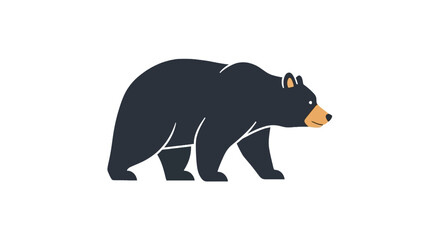 Fototapeta premium Black bear walking in profile view