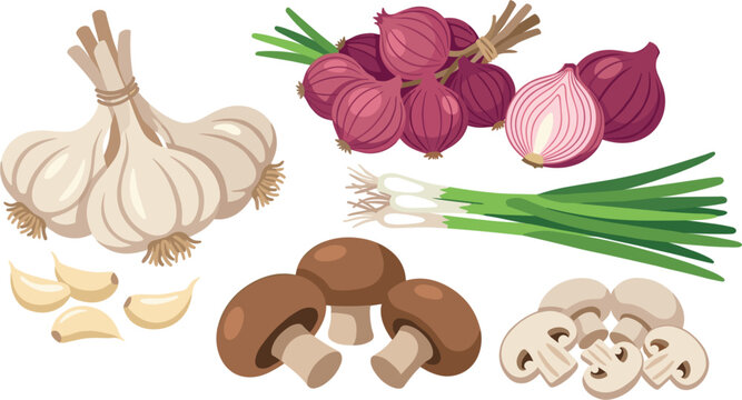 Fresh culinary vegetables vector collection featuring whole and sliced garlic red onion scallion and brown mushrooms isolated