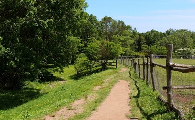Fototapeta premium 那須高原南ヶ丘牧場の牧場風景