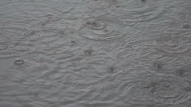 Close-up of raindrops creating ripples on a calm water surface during a downpour
