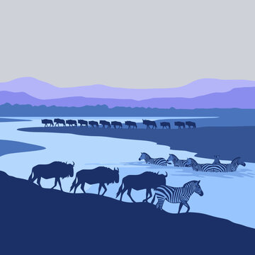 Wildebeest and zebras crossing a river during migration.