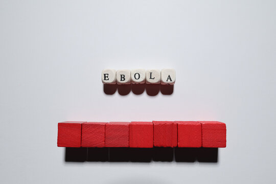 Ebola virus concept using elongated red wooden block model on white background with large copy space for healthcare themes.