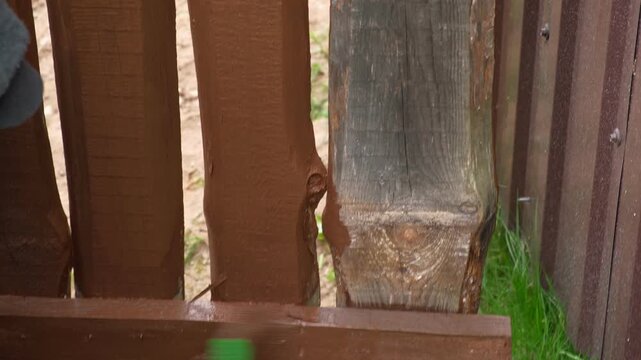 Brown oil for protection of wood by staining. Painting fence for protecting and pests. Woodworker applying finish to pine deck board. Repairman varnishing with brush wooden fencing wall plank surface.